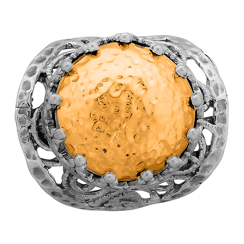 Silver and Gold Ring