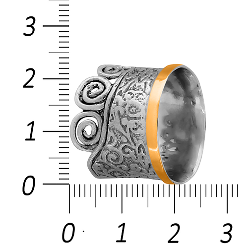 Silver and Gold Ring