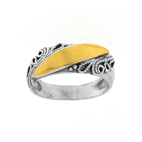 Silver and Gold Ring