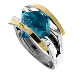 Silver and Gold Ring