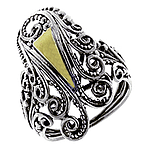 Silver and Gold Ring