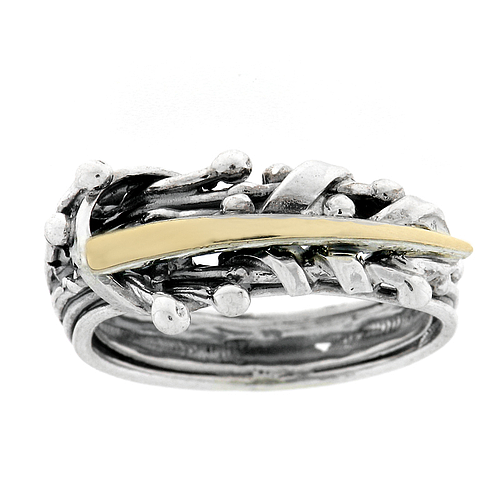 Silver and Gold Ring