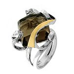 Silver and Gold Ring