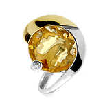 Silver and Gold Ring