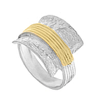Silver and Gold Ring