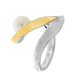 Silver and Gold Ring