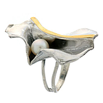 Silver and Gold Ring