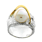 Silver and Gold Ring