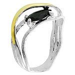 Silver and Gold Ring