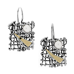 Silver and Gold Earrings