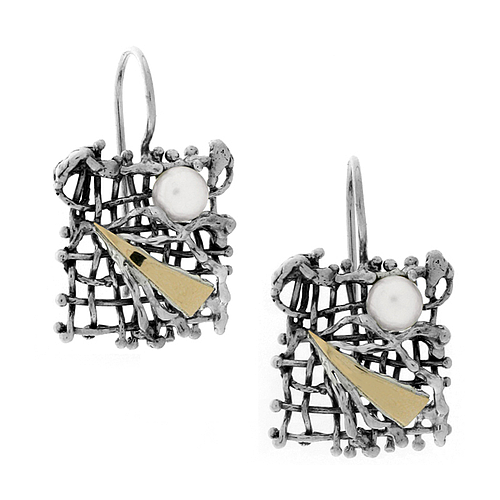 Silver and Gold Earrings