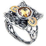 Silver and Gold Ring