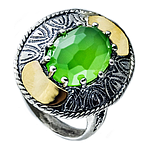 Silver and Gold Ring