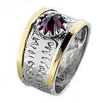 Silver and Gold Ring