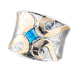 Silver and Gold Ring