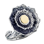 Silver and Gold Ring