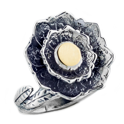 Silver and Gold Ring