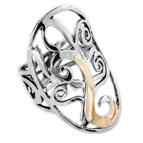 Silver and Gold Ring