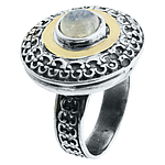 Silver and Gold Ring