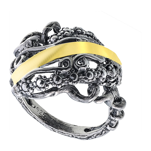 Silver and Gold Ring