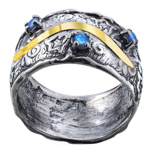 Silver and Gold Ring