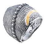 Silver and Gold Ring