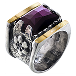 Silver and Gold Ring