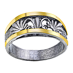 Silver and Gold Ring