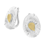 Silver and Gold Earrings
