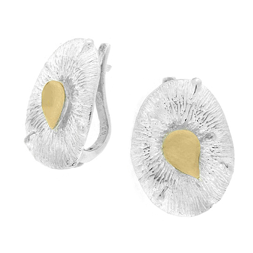 Silver and Gold Earrings