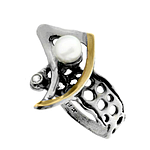 Silver and Gold Ring