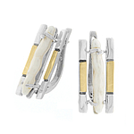 Silver and Gold Earrings