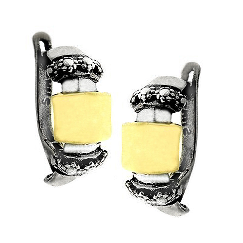 Silver and Gold Earrings