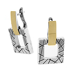 Silver and Gold Earrings