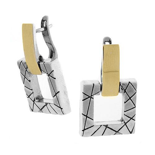 Silver and Gold Earrings