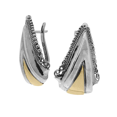 Silver and Gold Earrings