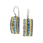 Silver and Gold Earrings