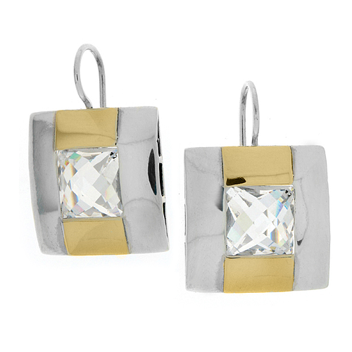 Silver and Gold Earrings