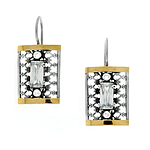 Silver and Gold Earrings