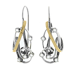 Silver and Gold Earrings