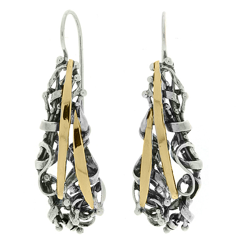 Silver and Gold Earrings