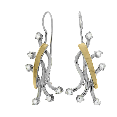 Silver and Gold Earrings