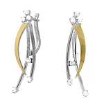 Silver and Gold Earrings