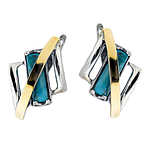 Silver and Gold Earrings