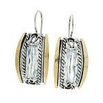 Silver and Gold Earrings