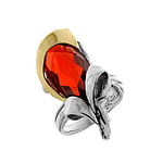 Silver and Gold Ring