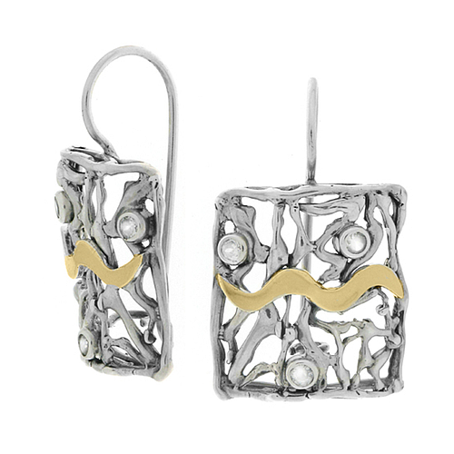 Silver and Gold Earrings