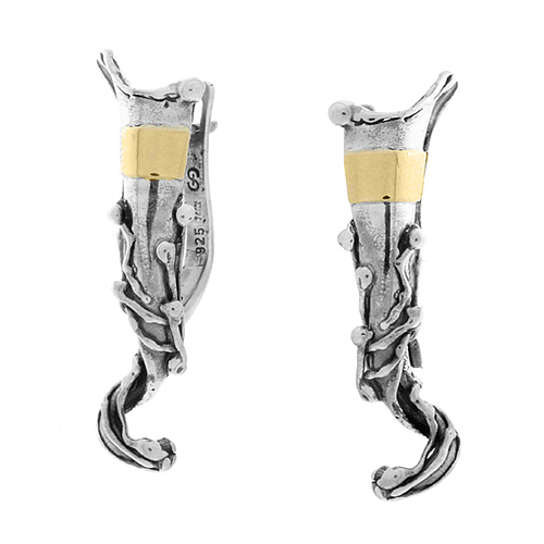 Silver and Gold Earrings