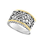 Silver and Gold Ring