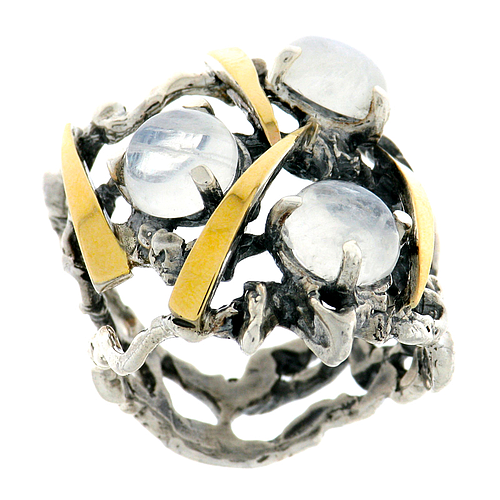 Silver and Gold Ring